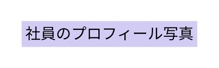 社員のプロフィール写真